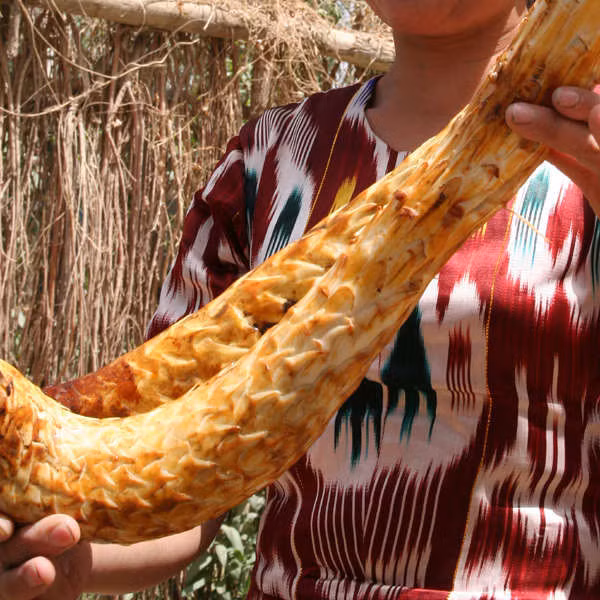 Thuốc cho người thận yếu, thiếu “tinh binh”