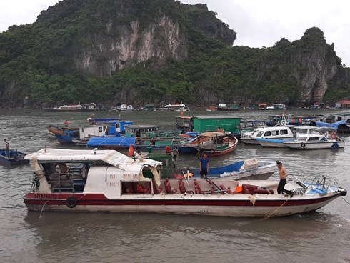 Tàu cao tốc chở khách bị tàu cá húc tung phần nóc.