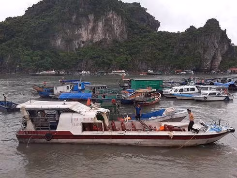 Tàu cao tốc chở khách bị tàu cá húc tung phần nóc.