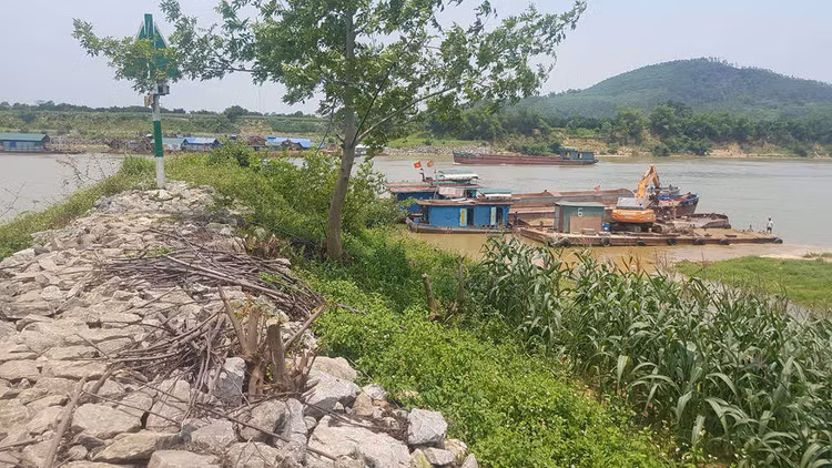 Khi nước thải từ trang trại lợn cách chỗ cấp nước sinh hoạt vài km