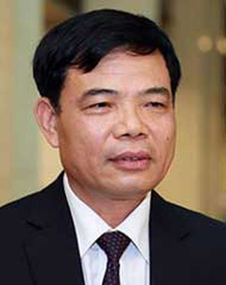 Dùng thịt heo đông lạnh gói bánh chưng, bánh tét…dịp tết - ảnh 4