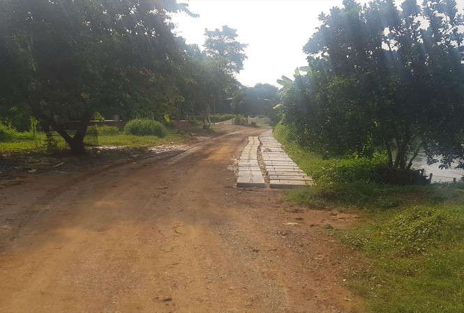 Khu đất được giới thiệu dự án Golden Lake Hòa Lạc (Sơn Tây, Hà Nội) chỉ là nơi đang trồng cây, nuôi cá. Ảnh: Ngọc Mai