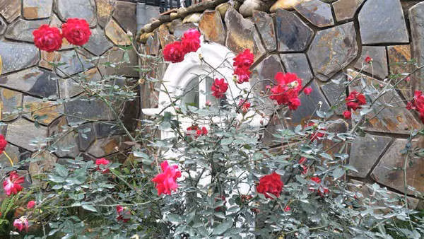 Biệt phủ ở Hà Nội của danh hài Xuân Bắc khiến dân tình lóa mắt vì độ hoành tráng - Ảnh 6.