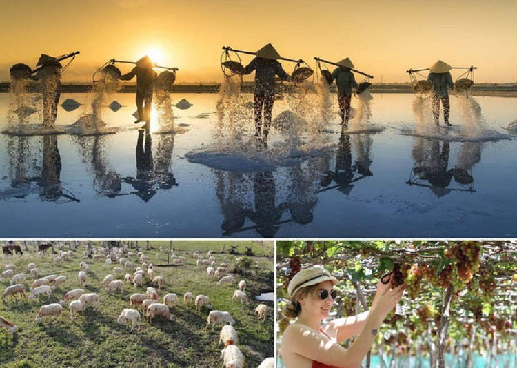 Sau 60 năm vẫn sinh lời - loại hình BĐS nào giải được bài toán khó? ảnh 2