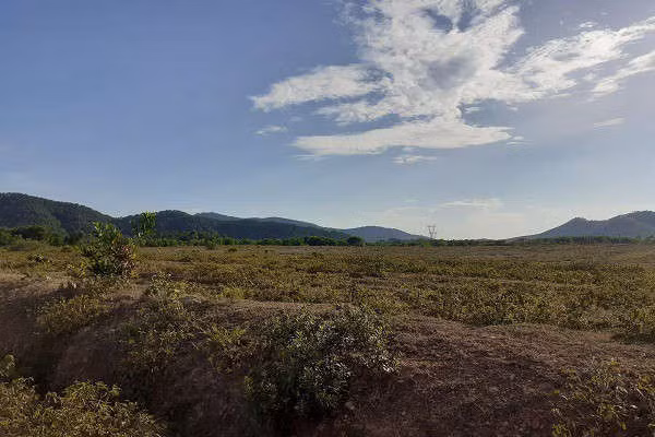 Trại bò nghìn tỷ liên quan ông Trần Bắc Hà giờ thành vườn chuối - Ảnh 10.