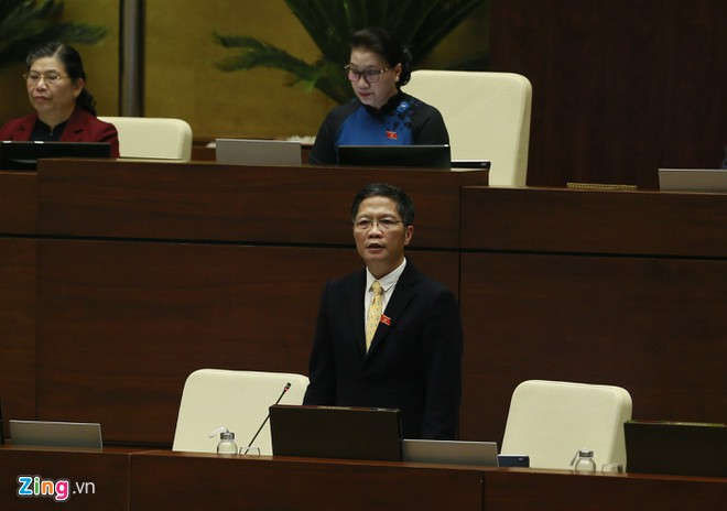 Chu lo nhom 4,3 ty USD gia hang Viet do nguoi Trung Quoc dau tu hinh anh 1 