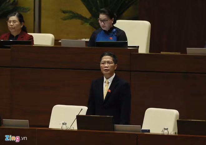 Chu lo nhom 4,3 ty USD gia hang Viet do nguoi Trung Quoc dau tu hinh anh 1 