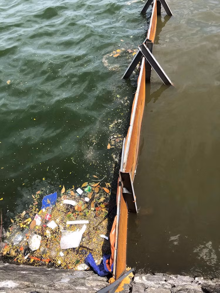 Màu nước bên trong (phải) khu vực xử lý thí điểm thay đổi đáng kể so với bên ngoài.