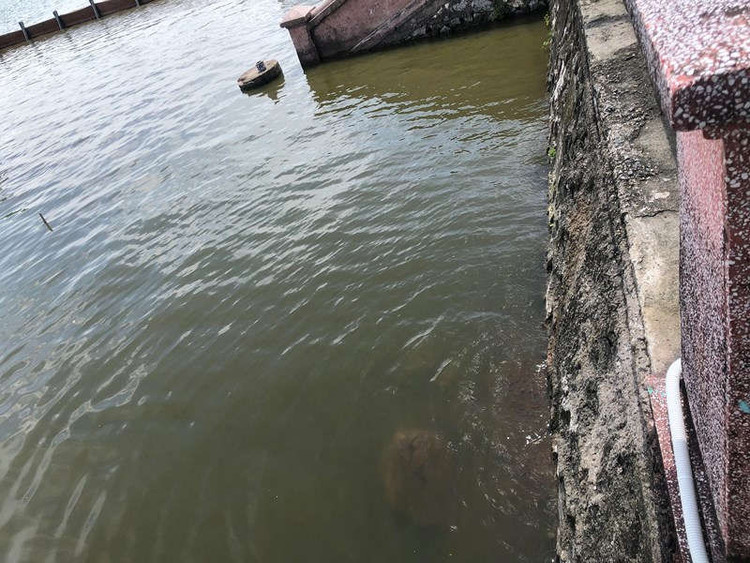 Bằng mắt thường chúng ta có thể dễ dàng nhìn thấy đáy trong khu vực xử lý thí điểm.