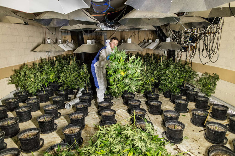 Lam dung tinh duc va nhung ac mong tren duong toi Anh cua di dan Viet hinh anh 9 