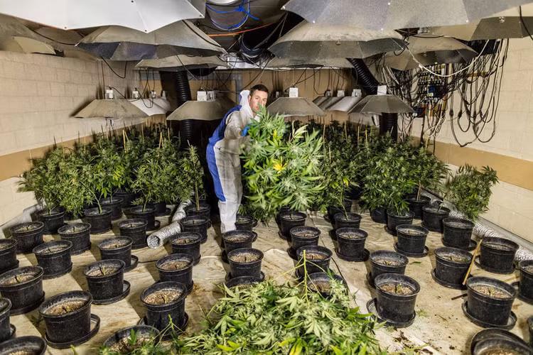 Lam dung tinh duc va nhung ac mong tren duong toi Anh cua di dan Viet hinh anh 9 