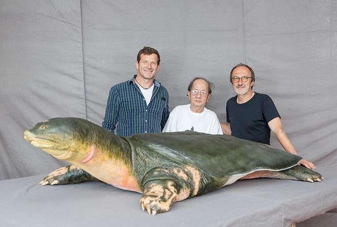 cụ rùa hồ gươm cuối cùng - ảnh 3