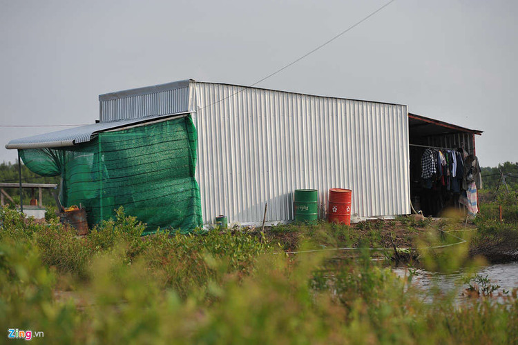 Nha may dong tau nghin ty o Ca Mau hoang hoa, gi set sau 12 nam hinh anh 10 