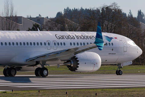 Hang hang khong dau tien huy mua 737 co phai dai hoa cua Boeing? hinh anh 2 