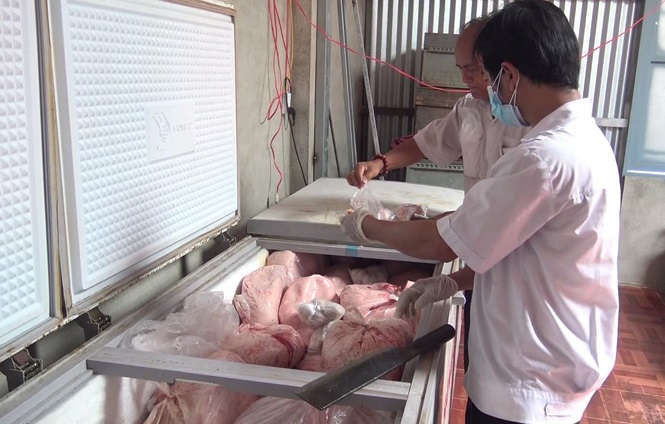 Hàng chục tấn thịt nhiễm dịch tả lợn châu Phi được làm giò chả - ảnh 1