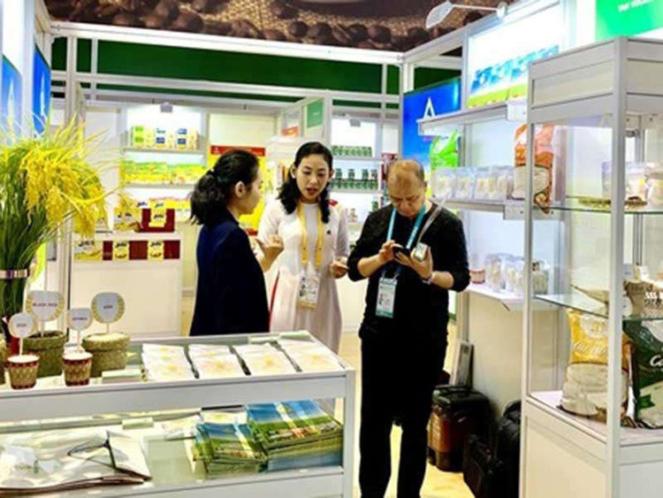 Trung Quốc siết tiểu ngạch, hàng Việt tuột dốc - ảnh 2