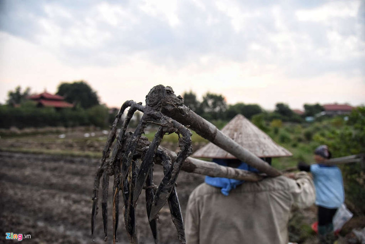 Biet phu, trang trai duoc su Toan xay dung ben canh chua Nga Hoang hinh anh 14 