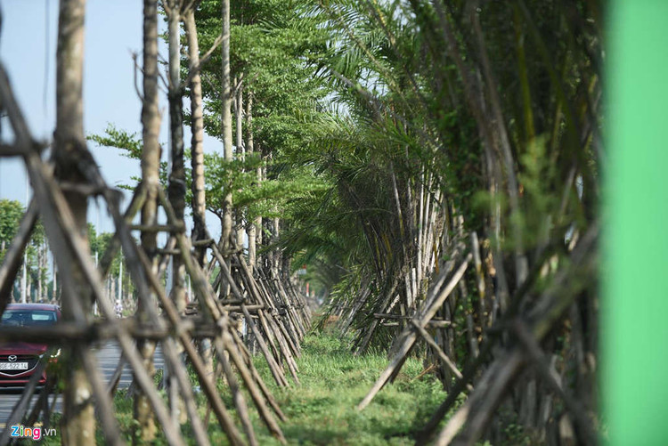 Doi 3 khu dat rong 570 ha lay con duong 6.600 ty phia nam Ha Noi hinh anh 9 