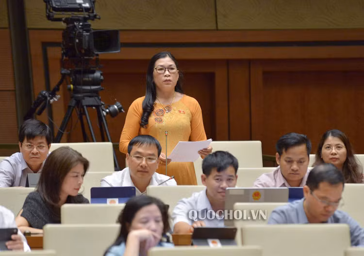 Cần quy định kiểm toán có thẩm quyền tham gia vào các vụ án kinh tế ​ ảnh 1