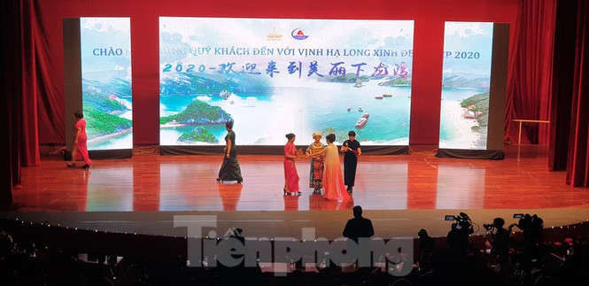 Dừng toàn bộ hoạt động của khách nước ngoài tại cung cá heo Quảng Ninh - ảnh 2