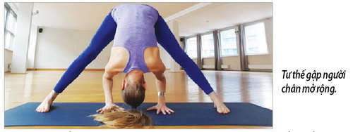 Các tư thế tập giúp thanh lọc cơ thể ảnh 4