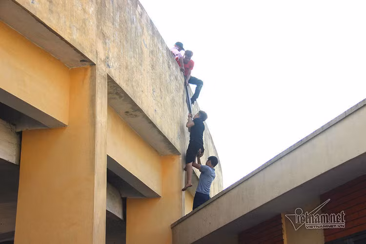 Sân Đồ Sơn quá tải, người dân trèo tường vào khán đài xem chọi trâu