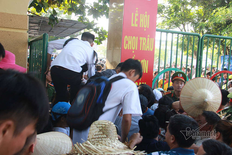 Sân Đồ Sơn quá tải, người dân trèo tường vào khán đài xem chọi trâu