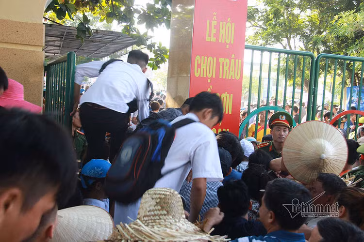 Sân Đồ Sơn quá tải, người dân trèo tường vào khán đài xem chọi trâu