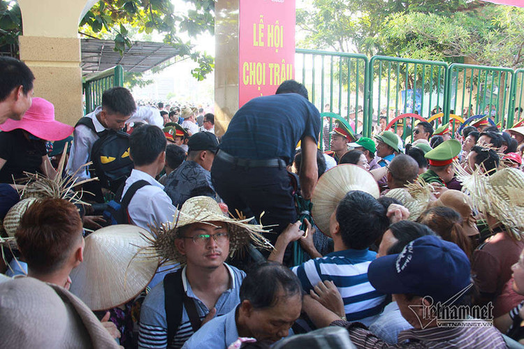 Sân Đồ Sơn quá tải, người dân trèo tường vào khán đài xem chọi trâu