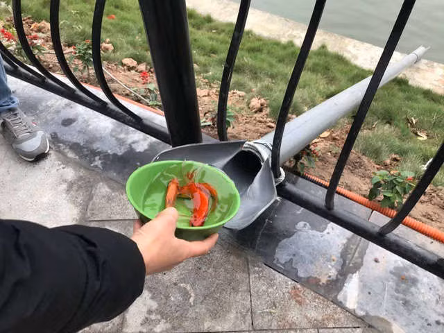 Hà Nội: Cá chép đi cầu trượt lên chầu Trời - 1