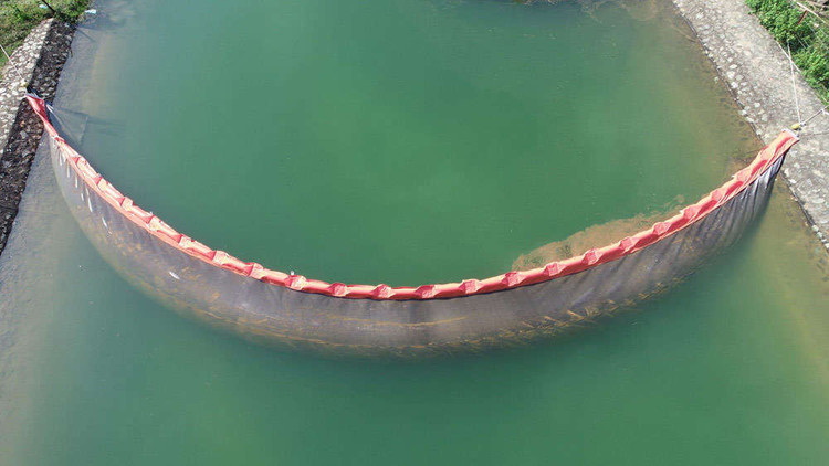 Khi nước thải từ trang trại lợn cách chỗ cấp nước sinh hoạt vài km