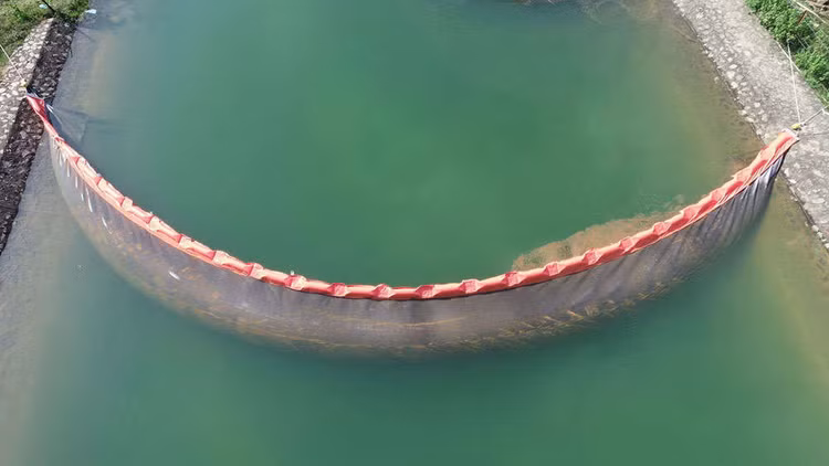 Khi nước thải từ trang trại lợn cách chỗ cấp nước sinh hoạt vài km