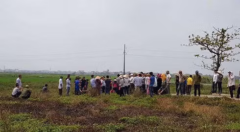 Rất nhiều người dân ra cách đồng để bảo vệ .