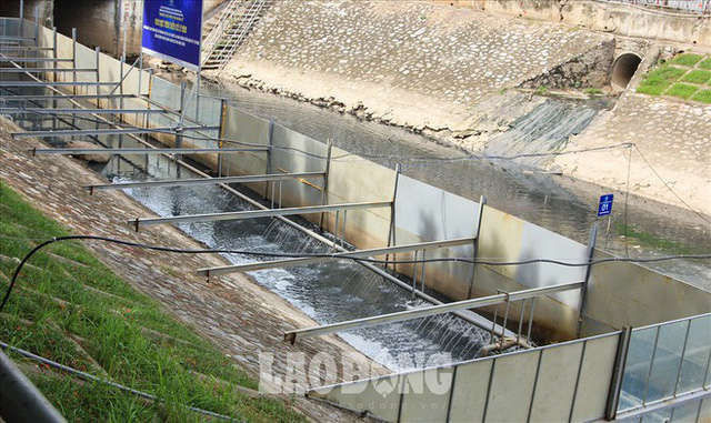 Nước sông Tô Lịch đen trở lại, xuất hiện cá chết trắng nổi lềnh bềnh - Ảnh 8.