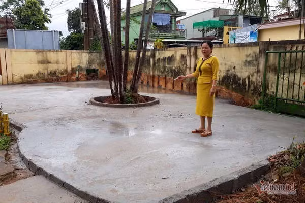 Trẻ mầm non phải nộp tiền trả lương cô nuôi và giáo viên trực trưa