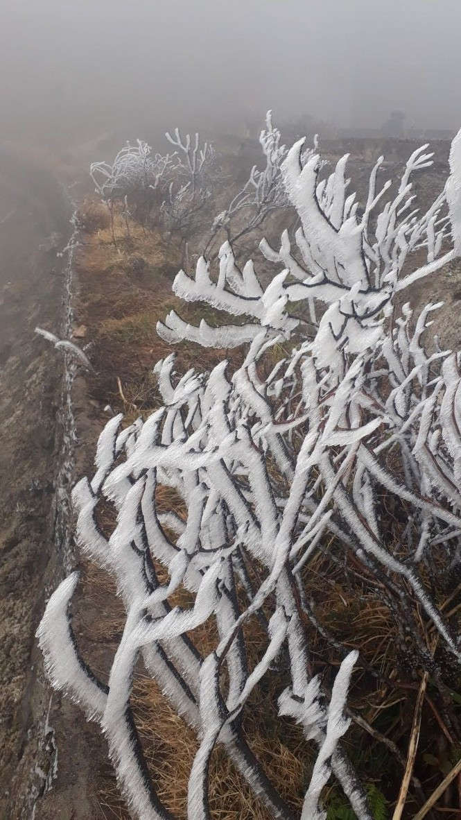 Nhiệt độ giảm sâu, băng tuyết phủ trắng Fansipan như trời Âu - ảnh 5