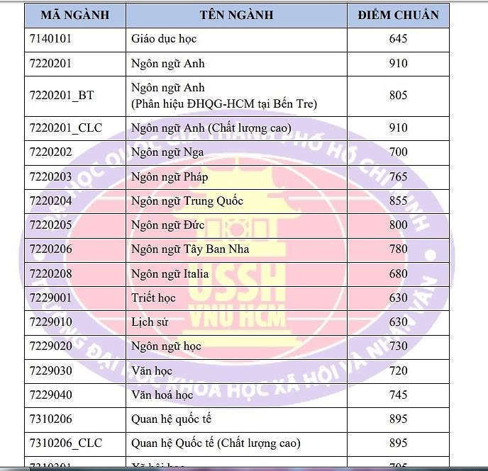 Điểm chuẩn năng lực vào Nhân văn, Bách khoa TP.HCM tăng mạnh - ảnh 1
