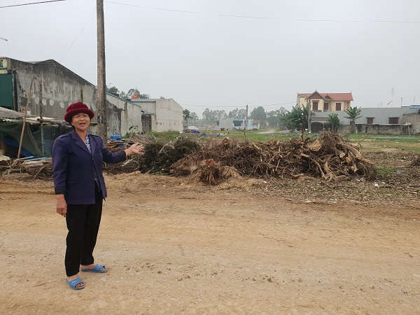 Bà Mai Thị Phượng, người dân tái định cư về mặt bằng này cho biết: Khi về đây Lãnh đạo huyện xã nói rằng khu đất này ( Khu dịch vụ 1) sẽ được làm công viên vui chơi cho bà con?