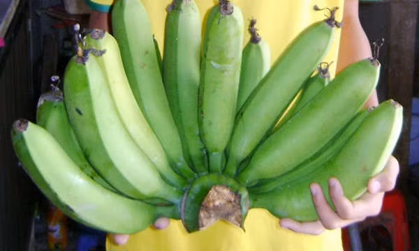 Cách xử lý thực phẩm sau Tết khoa học để đảm bảo sức khỏe các bà nội trợ nên biết ảnh 4