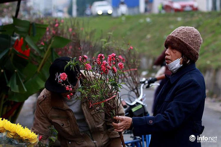 Theo ghi nhận của phóng viên Infonet, ngay cả cành đào bé dùng để cắm bình nhưng hoa cũng rất to và đẹp. Những cành đào này được bán khoảng trên dưới 100.000 đồng/cành.