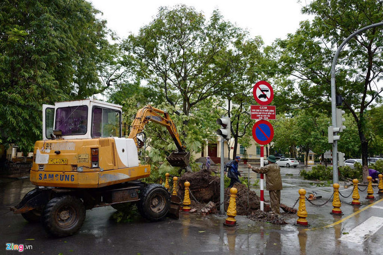 Cay do hang loat o Ha Noi, Hai Phong sau bao Wipha hinh anh 6 