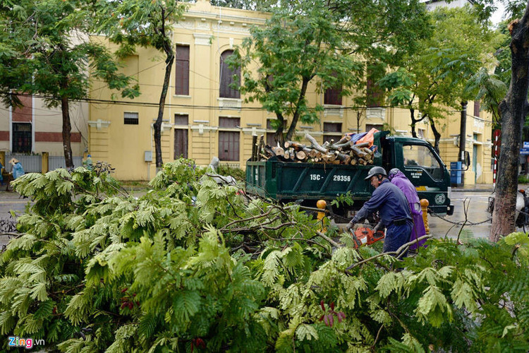 Cay do hang loat o Ha Noi, Hai Phong sau bao Wipha hinh anh 5 