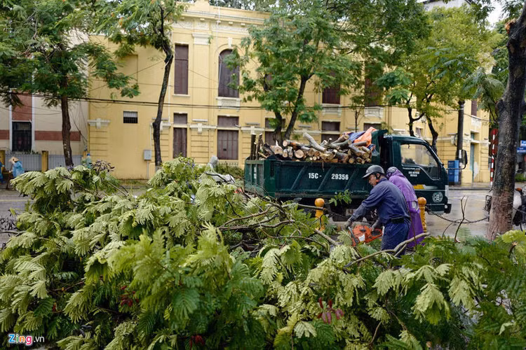 Cay do hang loat o Ha Noi, Hai Phong sau bao Wipha hinh anh 5 