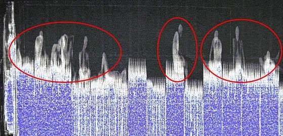 Vi sao 39 nguoi phai vao Anh trong xe dong lanh -25 do C? hinh anh 1 