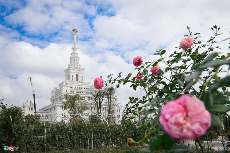 Can canh VinUni, ngoi truong co hoc phi 800 trieu/nam-hinh-anh-2-2_VinUi_zing8.jpg