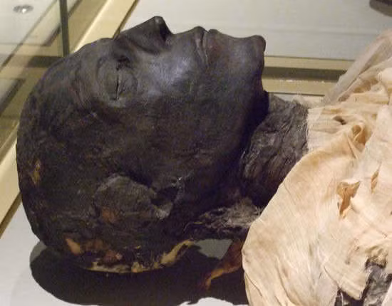 Cuc soc xac uop Pharaoh co so phan chim noi nhat Ai Cap-Hinh-7