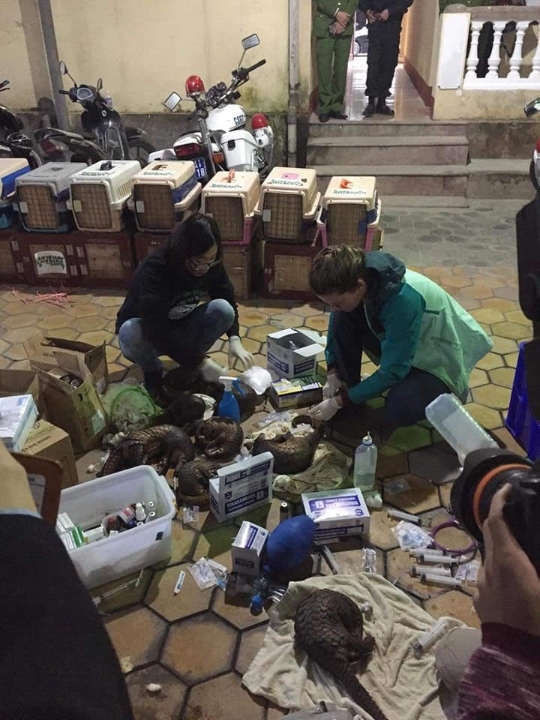 49673930 23477989752