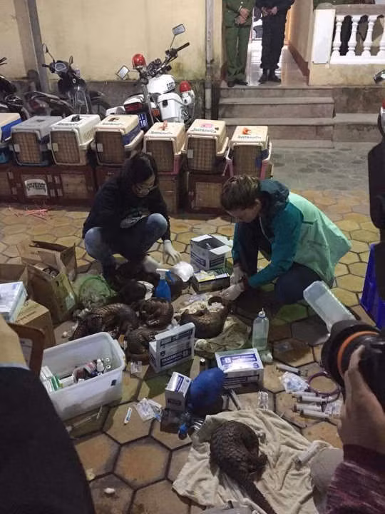 49673930 23477989752