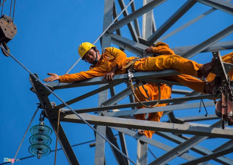 Hang hoa co duong luoi bo va loat van de cho Bo truong Tran Tuan Anh hinh anh 2 