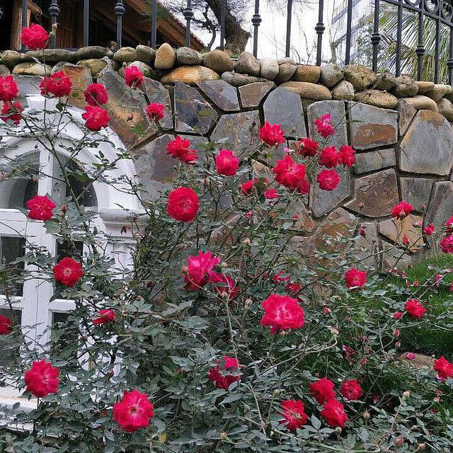 Biệt phủ ở Hà Nội của danh hài Xuân Bắc khiến dân tình lóa mắt vì độ hoành tráng - Ảnh 7.